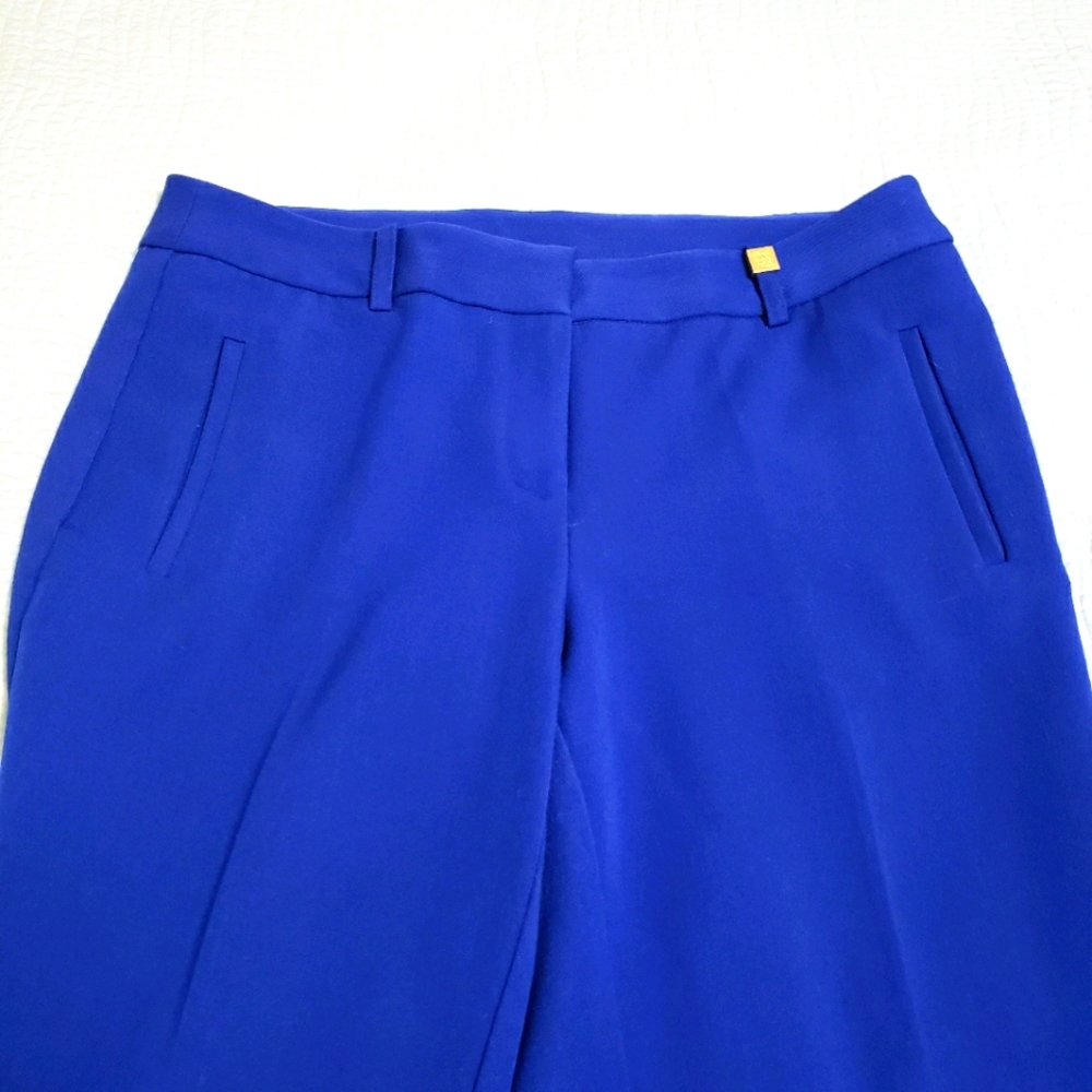 Barely Worn - ANNE KLEIN Petite Blue Dress Pants Slacks